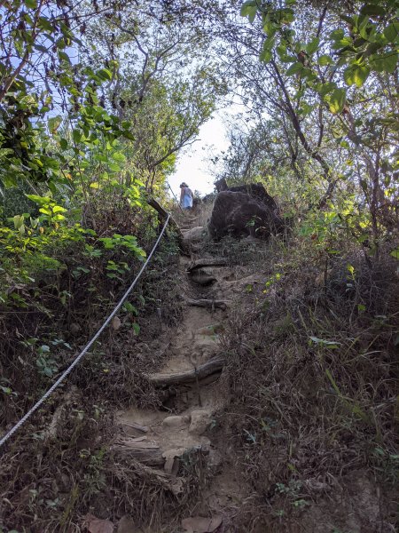 【高雄-小百岳】觀音山_稜線連峰O型縱走796550