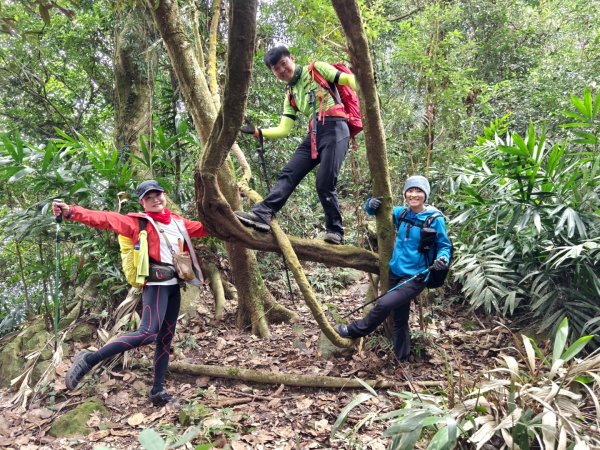 【苗栗郊山聖稜線】仙神象18連峰大縱走2676046