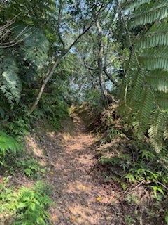 20250517 建安+鳥嘴+雙港子群峰 O型2788282