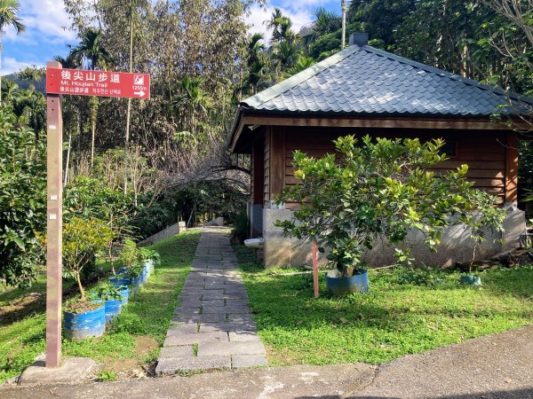 後尖山步道2683547