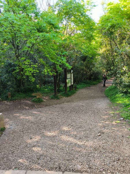 台北大縱走第一段3015745