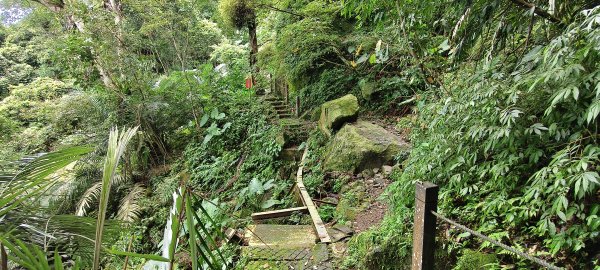 2026/08/22 金龜岩、猴洞步道Ｏ型3112124