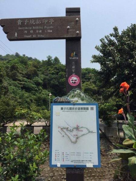 拓印檯關渡親山步道忠義山親山步道貴子坑親575921