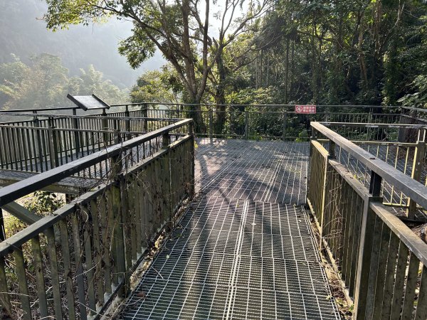 萬年峽谷步道2969839