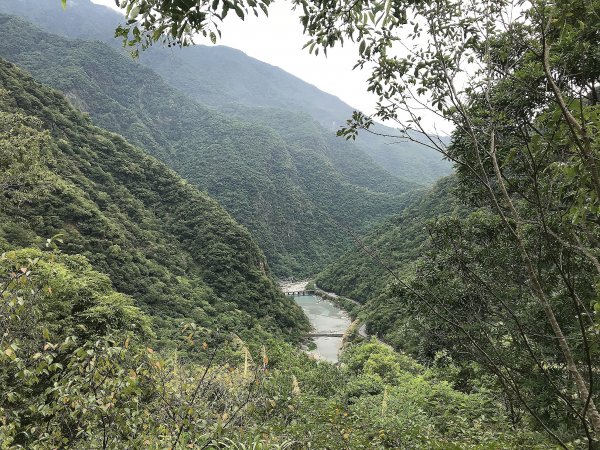 布洛灣&環流丘步道&山月吊橋1445040