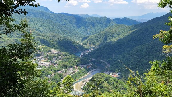 塔曼山，拔刀爾山，美鹿山南峰，內洞林道，大刀山，啦卡登山步道，桃園枕頭山，阿姆坪生態公園，大溪坪古道1795468