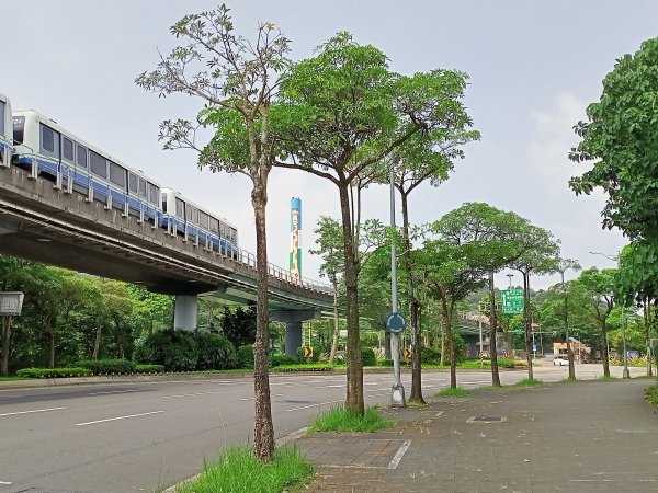 銀河洞瀑布→銀河洞越嶺步道→樟湖步道→待老坑山→杏花林→樟湖山→樟山寺→飛龍步道→政大→動物園門口1764794