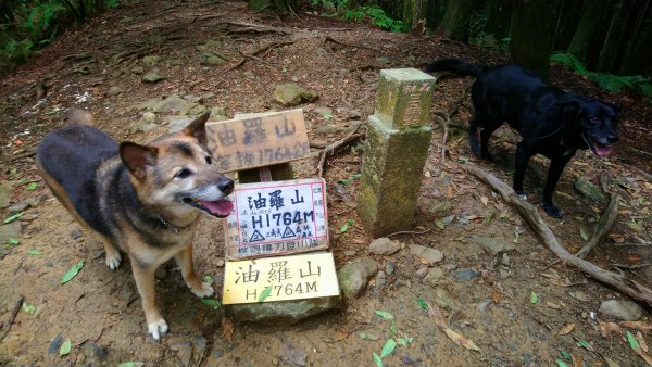 油羅山 我來了