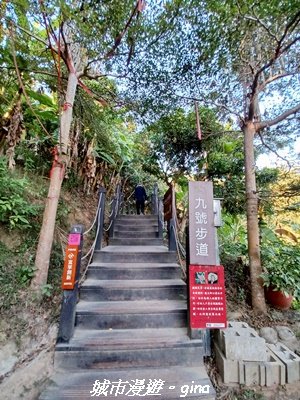 【台中北屯】大坑9-1x9號步道小O繞2945947