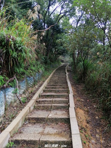 新竹~台灣百大必訪步道~鳳崎落日登山步道1231778