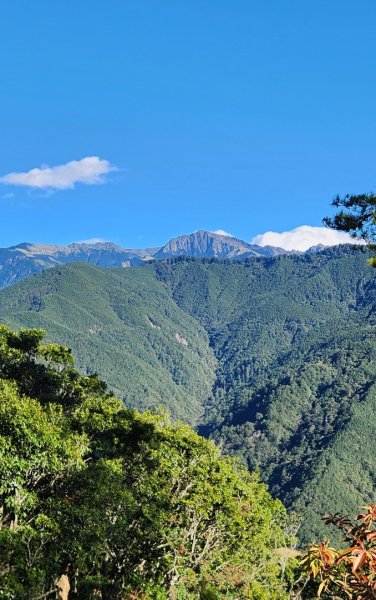 【中級山縱走】羅馬縱走，走進神木的夢幻童話森林世界2943257