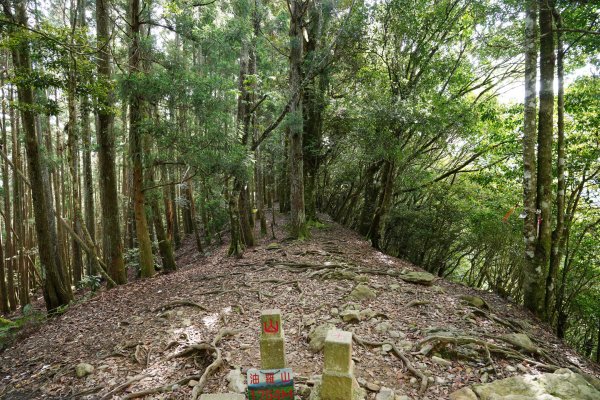 新竹 五峰 油羅山、霞山2798247