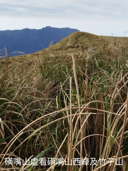 大尖山-富士坪山-磺嘴山P行2032759