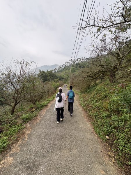 20251019伍龍步道-梅峰-竹子尖山-福光山2924088