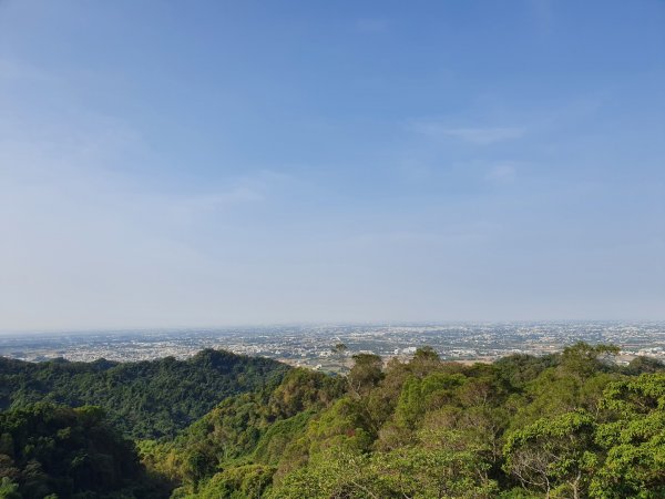 清水岩中央嶺造林步道1188949