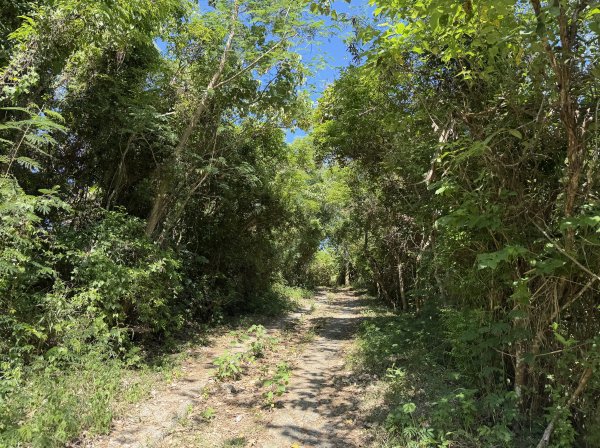 2025_1018 花蓮山步道2921272