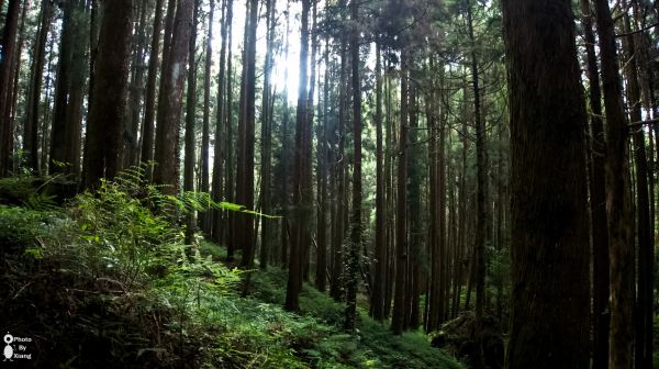 阿里山遊樂園區-大塔山166064