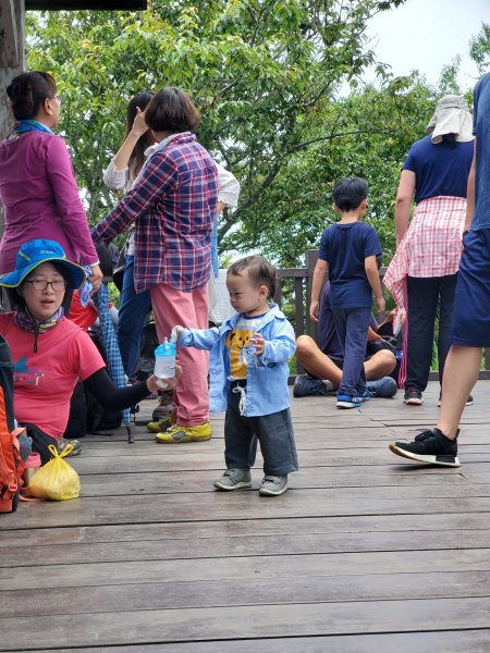 【嘉義|大凍山】多林-頂湖走1010200