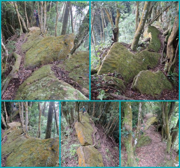 獅潭仙山步道444242