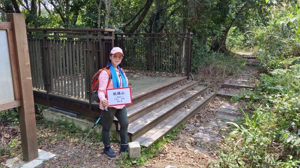 (姨婆趴趴走)第四集:桃園枕頭山古砲台步道、枕頭山、枕頭山西峰環狀縱走2111976