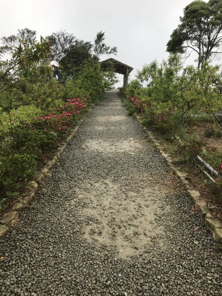 110年4月25日雲林  雲嶺之丘 五元二角 木馬古道1456570