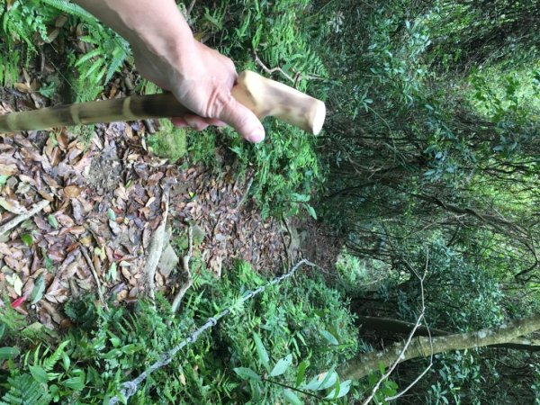 赤柯山、東獅頭山2748538