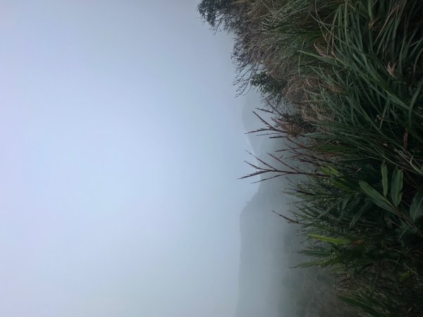 2024草嶺古道芒花季草嶺古道2644801