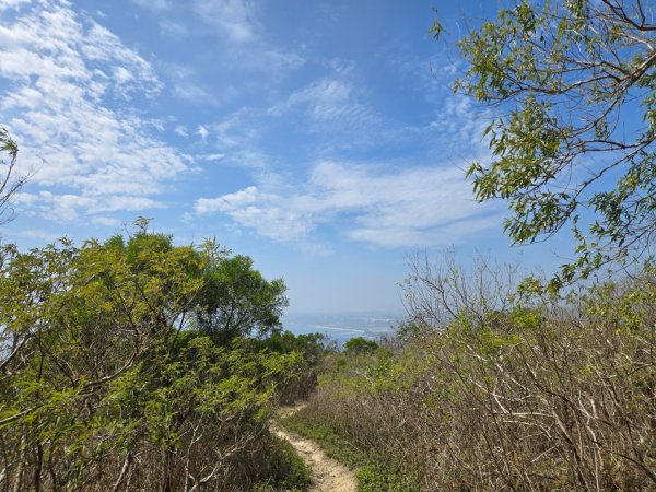 大山母山（小百岳）3007476