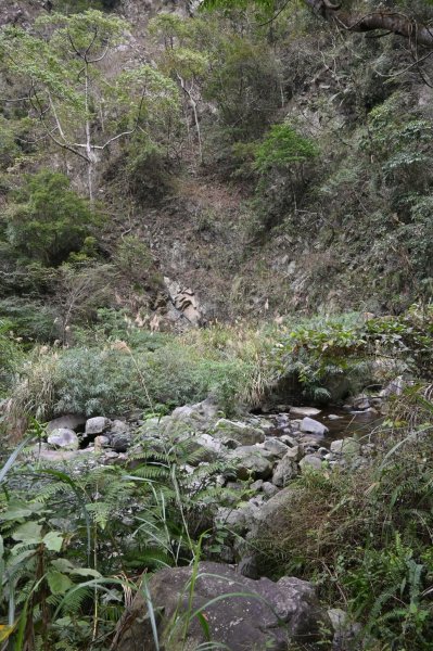 谷關七雄-唐麻丹山2888723