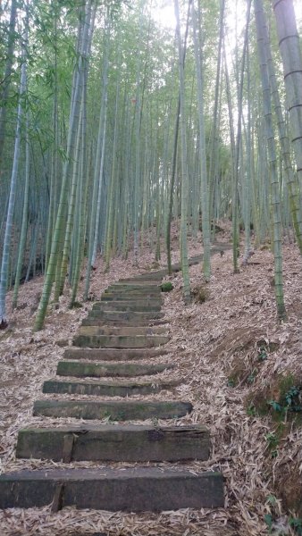 石壁山賞花行1605577