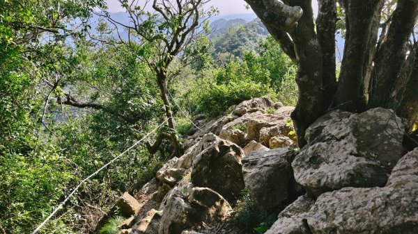 【台灣健行】西拉雅綠色長城 烏山縱走2657177