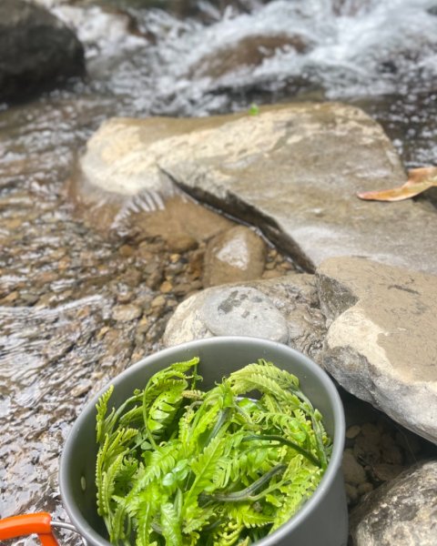紅河谷越嶺-加九寮秘境💙露營⛺️釣魚趣2817731