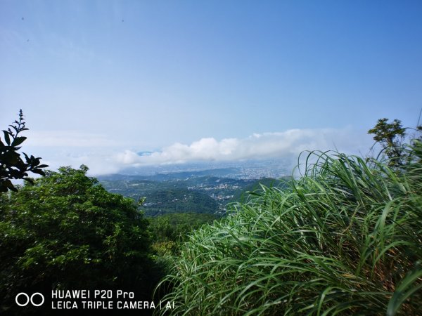 七星山主峰、東峰582771