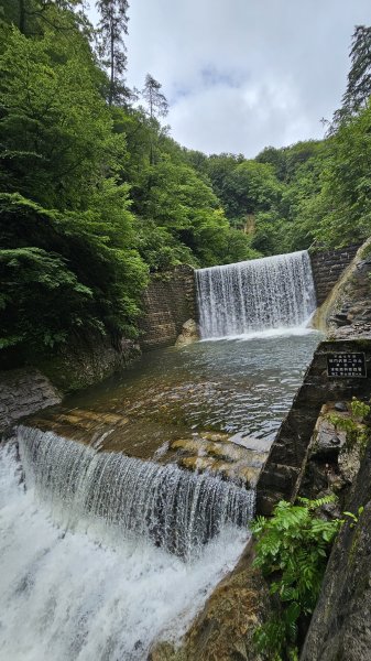 240814-白神山地世界自然遺產地域。美美兔不能錯過的日本東北健行路線。2603900