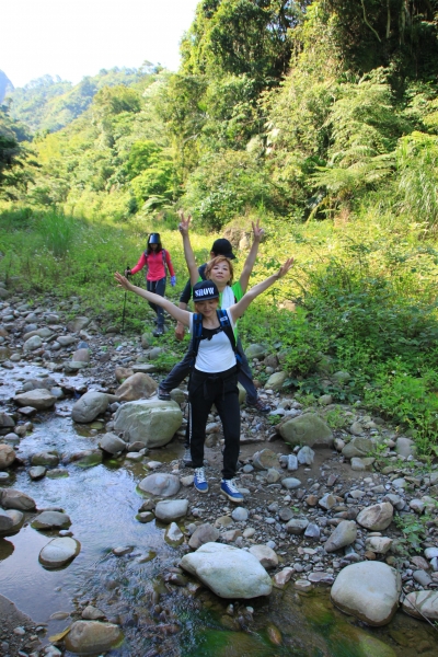 霧峰奧山賞桐花38669