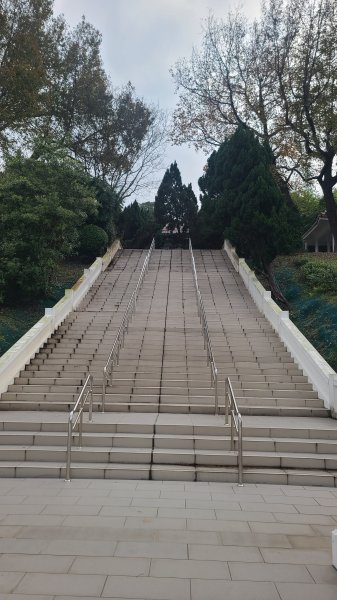 2025-0204 鶯歌_大凍山_三角埔頂山_迴龍2707975