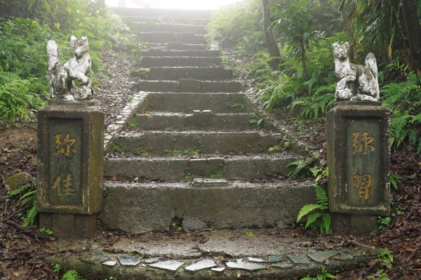 基隆 仁愛 紅淡山、金交椅山2714982