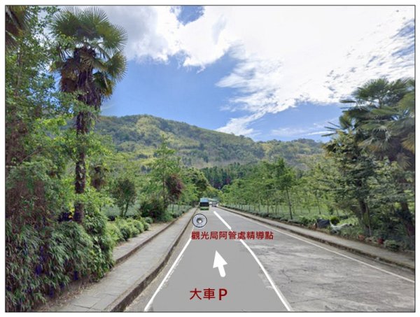 阿里山 頂湖步道 O遶一圈3088333