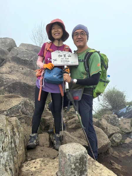 加里山O繞20250713(大坪登山口-杜鵑嶺-加里山-避難小屋-大坪登山口)2836908