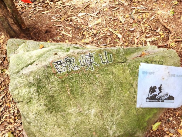 【中級山縱走】最美中級山，鳶嘴西稜縱走（鳶嘴山，醜崠山，長壽山）2741352