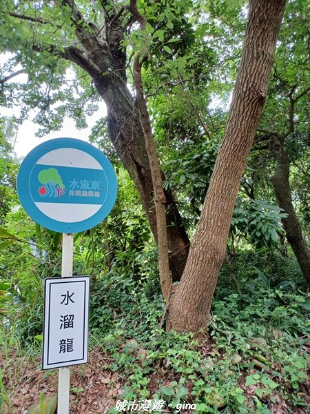 【台中外埔】沿著水圳散散步。 外埔水流東桐花步道1731435
