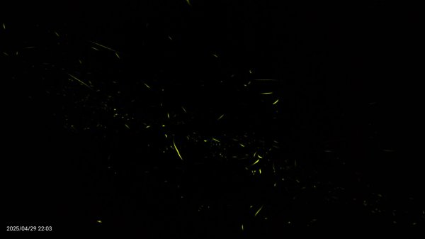 翡翠水庫壩頂 #火燒雲雲海 #日出雲海 #鱷魚島 #藍腹鷴 4/292773448