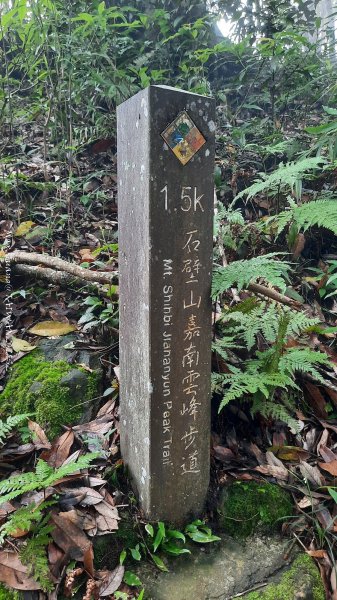 《雲林》望好望角｜石壁山嘉南雲峰步道(中側登山口）202506072805412