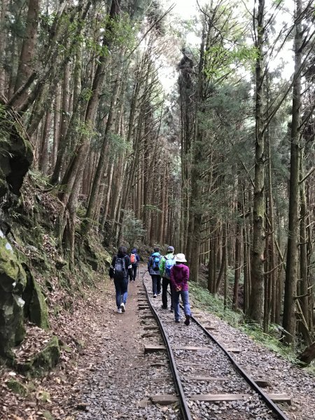 2019.12.21 特富野古道之旅799784