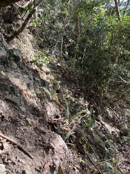 蝶夢八唐搜尋失蹤者 2025.11.252954297