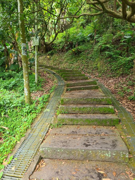 大坑6號上+8號探路+7號下2771413