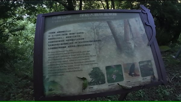 大霸群峰:大霸尖山、小霸尖山、伊澤山、加利山、耶巴奧山2849571