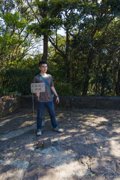 [台北]大崙頭山、碧山巖、忠勇山2746175