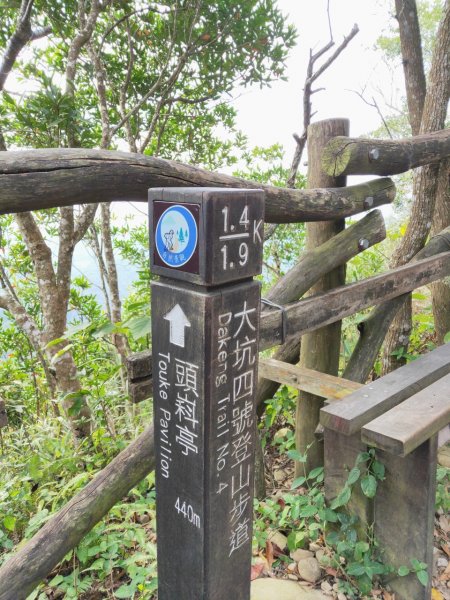 小百岳(41)-頭嵙山(四號步道)-202211021997274