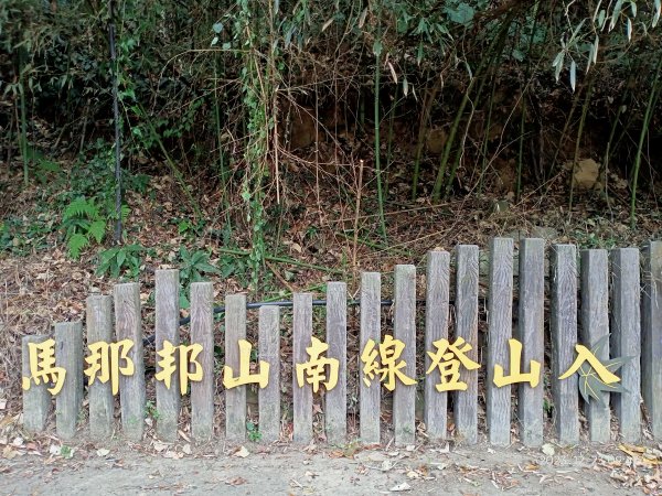 四訪苗栗的花果山-小百岳#037馬那邦山、雪霸國家公園管理處【小百岳集起來、苗栗-臺灣百大必訪步道】2394308